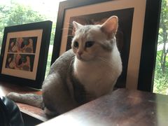 -咖法森林·咖啡  酒吧(天河店)