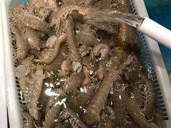 -百纳·锦绣江南 (百纳瑞汀酒店)