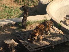 -石家庄市动物园