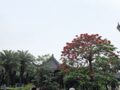 -飞来湖湿地公园