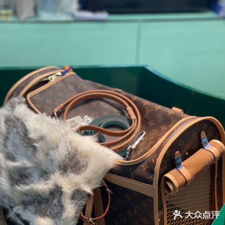 电力宠物公司