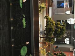 -洞庭家宴·头牌甲鱼(广渠门店)