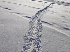 -丝绸之路山地度假区滑雪场