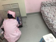 -宠颐生中康贝怡动物医院