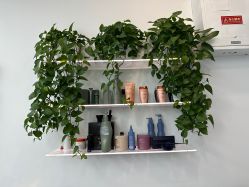 -ON STAR SALON