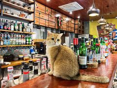 -咖法森林·咖啡  酒吧(天河店)