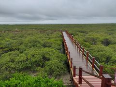-北海金海湾红树林生态旅游区