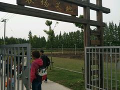 -上海长兴岛郊野公园