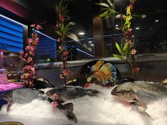 -奢谷·海鲜自助(南海万科店)