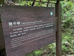 -牛背梁国家森林公园