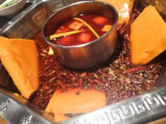 火锅底料-蜀九香火锅(九眼桥店)
