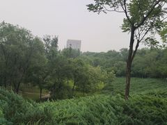 -滨河世纪广场公园