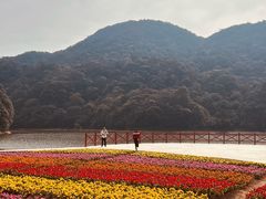 -广州市石门国家森林公园