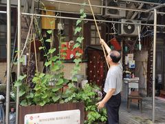 -逸桂禾面馆