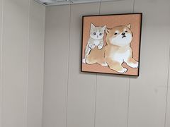 -半岛宠物医院24小时·内窥镜·牙科·碎石中心(府城大道店)