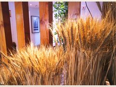 -麦子MaiMassage(打浦桥店)
