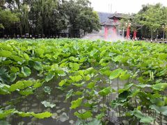 -四川大学(望江校区)