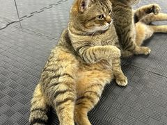 -FIGHTMAN格斗俱乐部(长宁临空店)