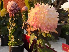 -上海大学（宝山校区）-图书馆