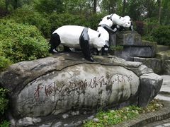 -都江堰中华大熊猫苑
