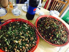 尖椒兔-东吴霸王兔(松青路店)