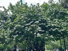 -金典银峰老鹅馆·昆山菜(亭林公园店)