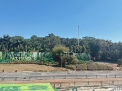 -深圳野生动物园