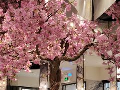 -宝月楼·台湾菜馆(天河城店)