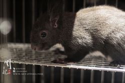 -周忆刺青原创设计定制