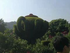 -东南花都花博园