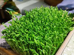 鲜活豆苗-三克火锅影院(来福士店)