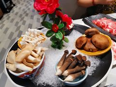 -新一哥粤菜火锅(瑞金店)