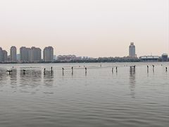 -厦门园林博览苑
