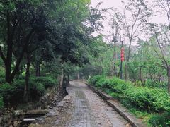 -雨花胜境