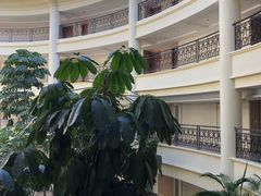 -金茂园大酒店