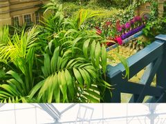 -南宫五洲植物乐园