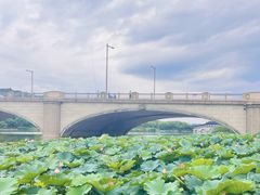-长广溪湿地公园