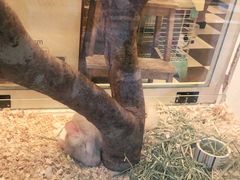 -龙猫仔乐园(惠福东路店)