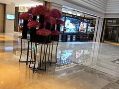 -上海中航虹桥机场泊悦酒店