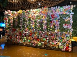 -奇幻丛林(佛罗伦萨小镇店)