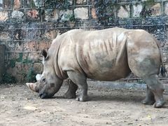 -昆明动物园