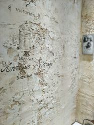 -星豆豆儿童摄影(南郊太白南路店)