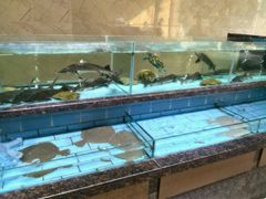 -江南大酒店·地道正宗有锅气的江西菜(中华北大街店)