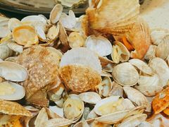 -港畔赶海蒸汽海鲜烧烤自助(仙螺岛店)