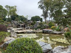 -东莞植物园