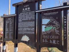 -泸沽湖国家级风景名胜区走婚桥