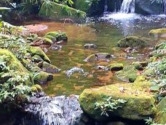 -海南热带雨林国家公园吊罗山景区