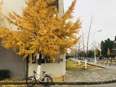 -江南大学(蠡湖校区)