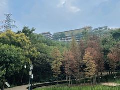 -顺峰山公园