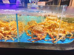 -徐记海鲜(大雁塔|金都店)